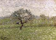 Camille Pissarro Apple Germany oil painting artist